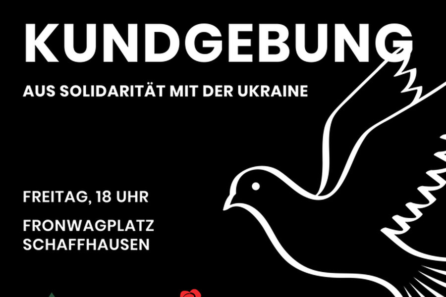 Friedenskundgebung in Solidarität mit der Ukraine